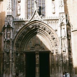 Meet your Posher, Oli